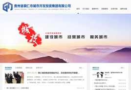 抚松城市开发投资集团有限公司