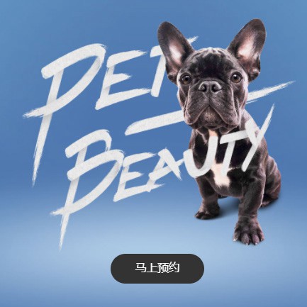 抚松宠物中心小程序开发