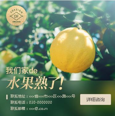 抚松果园果林小程序开发